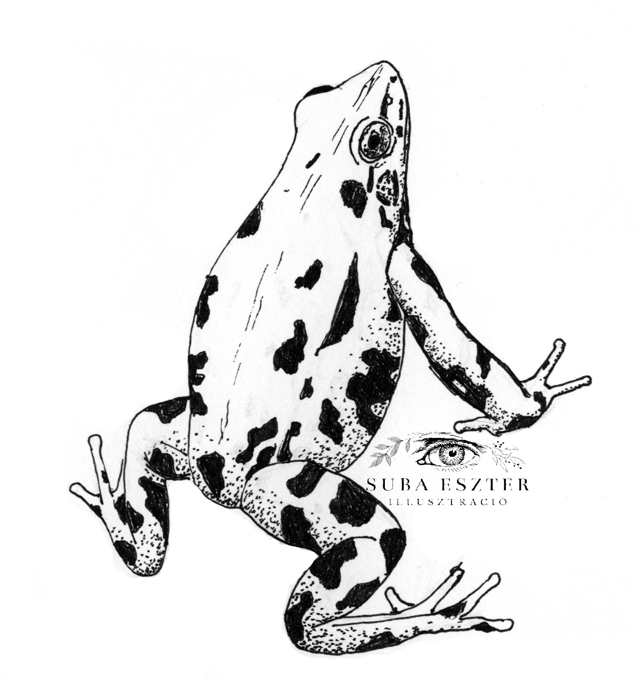 A Béka, aki valódi Béka akart lenni