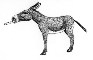 A Szamár és a Furulya