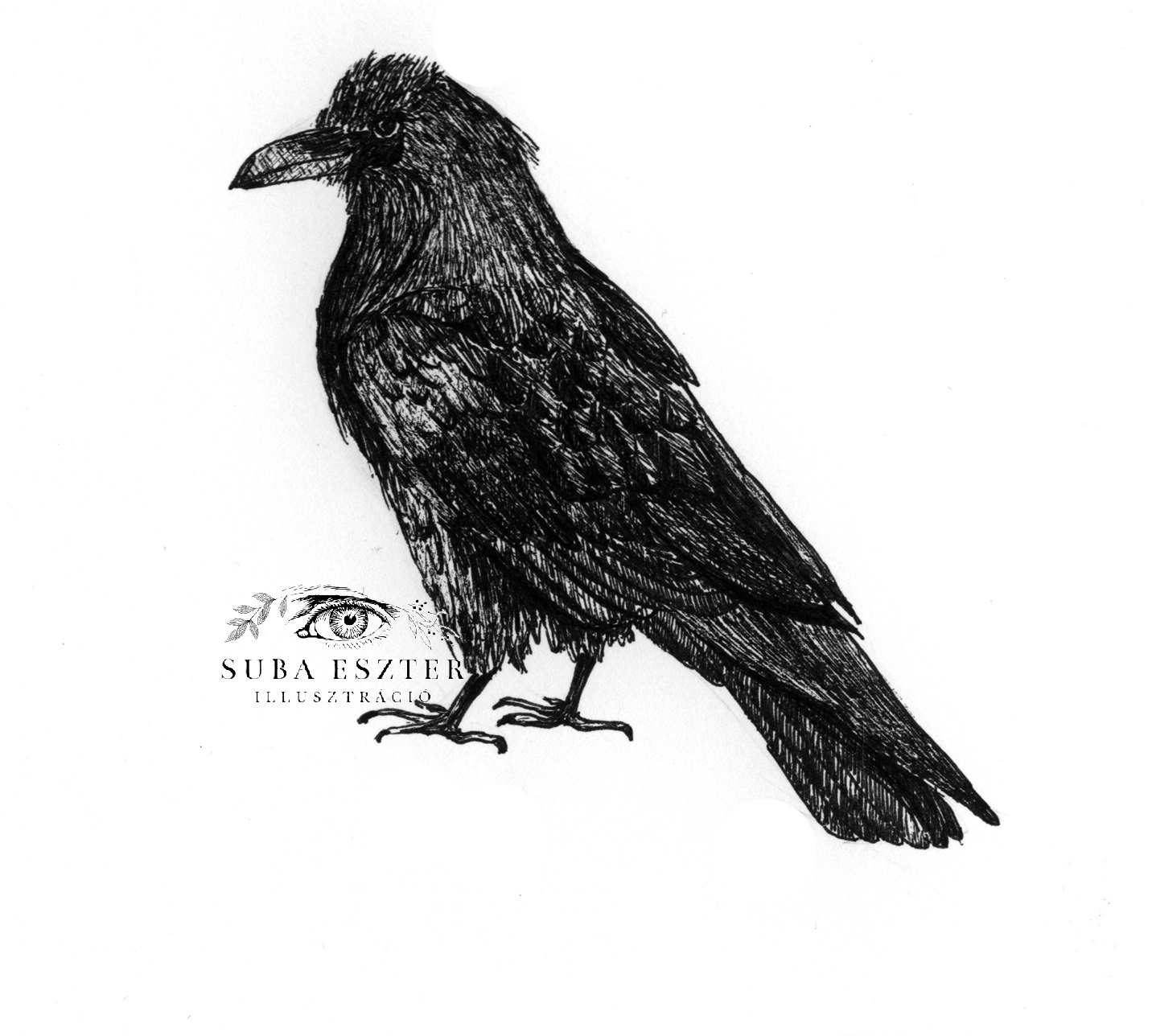 A jól nevelt Hollók